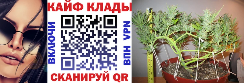 Магазин наркотиков Камышин A-PVP  Псилоцибиновые грибы  Конопля  Cocaine  ГАШИШ 