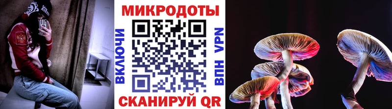 Галлюциногенные грибы GOLDEN TEACHER  цена   Камышин 